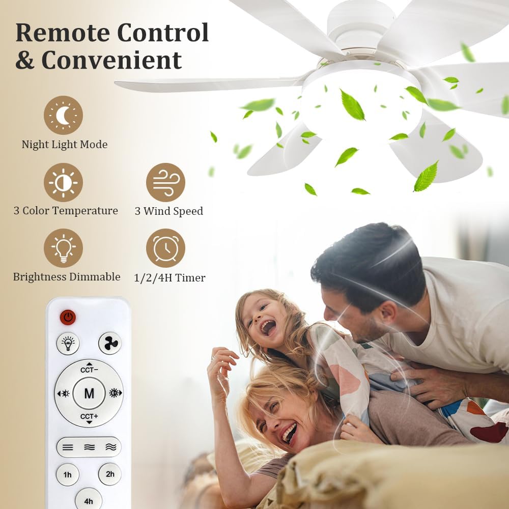 Socket Fan Light with Remote,  - Lighting Decor For Room recension och pris