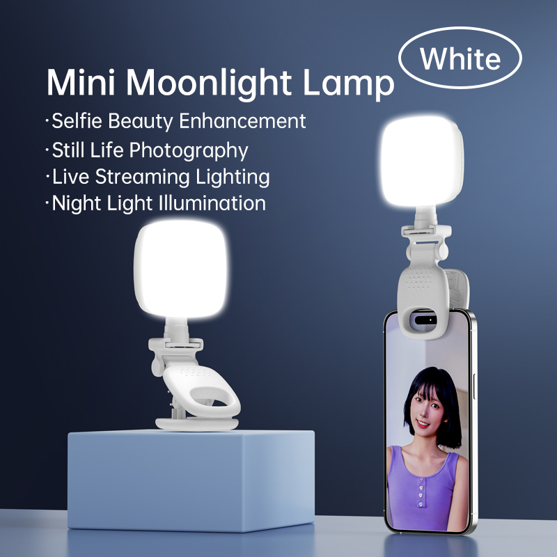 Portable LED Selfie Light Came - Lighting Gallery recension och pris